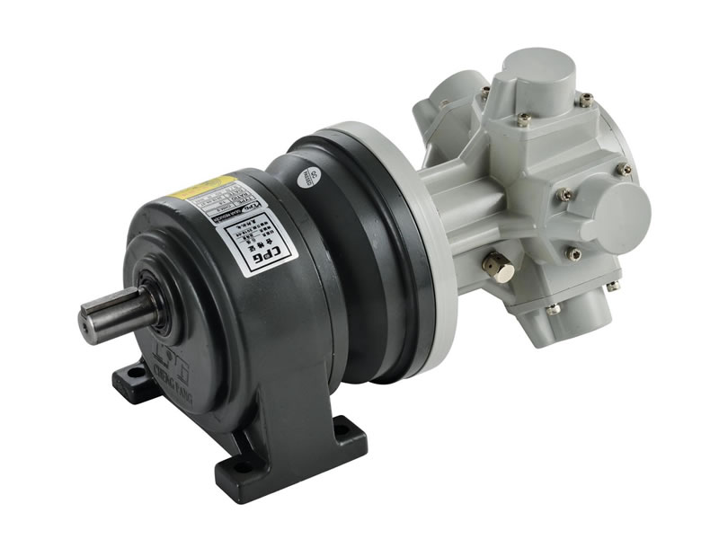 AM5-WG Reducer air motor